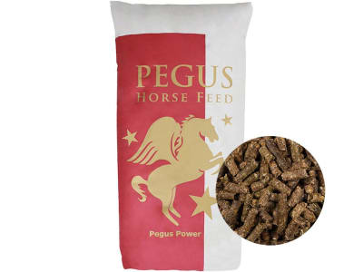 Pegus Power Cobs Maiscobs aus der ganzen Pflanze zum Einweichen Pellet 20 kg Sack Pegus Power Cobs Maiscobs aus der ganzen Pflanze zum Einweichen Pellet 20 kg Sack