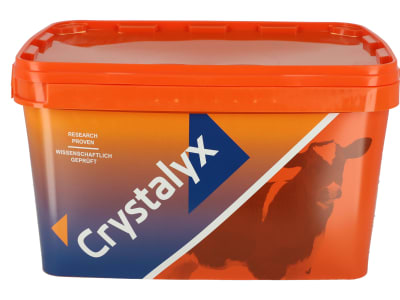 Crystalyx® Mentholyx energiereiche Leckmasse für Kälber, Schafe und Ziegen mit Menthol und Eukalyptus Leckmasse 22,5 kg Kübel