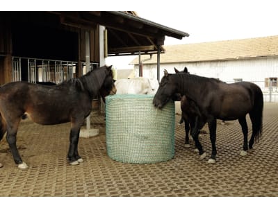 KERBL Heunetz für Rundballen, Maschenweite 45 x 45 mm, zur Bodenablage KERBL Heunetz für Rundballen, Maschenweite 45 x 45 mm, zur Bodenablage