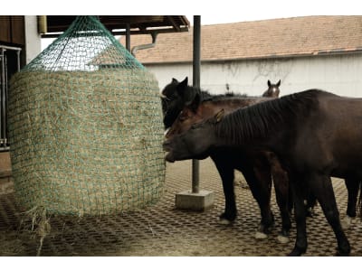 KERBL Heunetz für Rundballen, Maschenweite 45 x 45 mm, zum Aufhängen KERBL Heunetz für Rundballen, Maschenweite 45 x 45 mm, zum Aufhängen