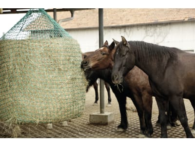 KERBL Heunetz 180 x 150 cm für Rundballen zum Aufhängen, Maschenweite 45 x 45 mm, 321606