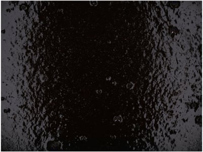 Crystalyx® Trockensteher Pre Calver Leckmasse zur Vorbereitung von trockenstehenden Milchkühen sowie Mutterkühen auf die Geburt und die nachfolgende Laktation Crystalyx® Trockensteher Pre Calver Leckmasse zur Vorbereitung von trockenstehenden Milchkühen sowie Mutterkühen auf die Geburt und die nachfolgende Laktation
