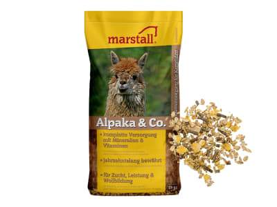 marstall® Alpaka + Co komplette Versorgung mit Mineralien und Vitaminen für Kamelide 15 kg Sack marstall® Alpaka + Co komplette Versorgung mit Mineralien und Vitaminen für Kamelide 15 kg Sack