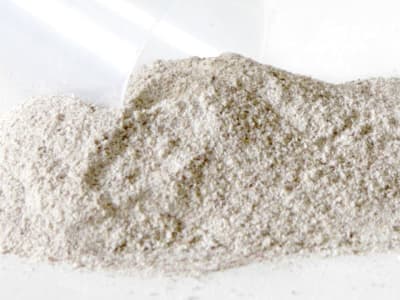 DERBY® Carotin für Zuchtstuten und Deckhengste 5 kg Eimer DERBY® Carotin für Zuchtstuten und Deckhengste 5 kg Eimer