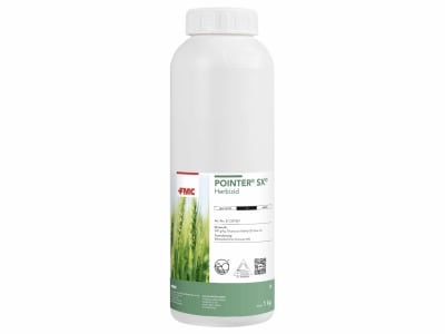  Pointer SX 1 kg Flasche 