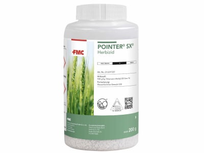 Pointer SX Pointer SX
