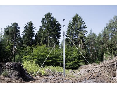 Schlitzfallenständer sternförmig, für drei Borkenkäferfallen