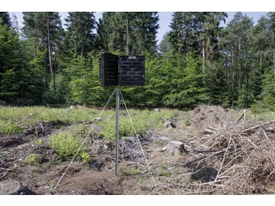 Schlitzfallenständer sternförmig, für drei Borkenkäferfallen Schlitzfallenständer sternförmig, für drei Borkenkäferfallen