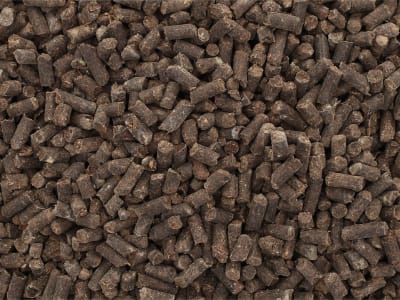 Oscorna® RinderDung langanhaltend und mild wirkende NPK 2+2.5+2 Wirtschaftsdünger für alle Gartenkulturen Oscorna® RinderDung langanhaltend und mild wirkende NPK 2+2.5+2 Wirtschaftsdünger für alle Gartenkulturen