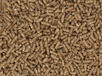Bonimal FEED RK Kälber 204 EU OG Kälberstarter ab der 2. Lebenswoche Kälberfutter zum Einsatz in Trockenfutterflaschen und für Kälber-Trocken-TMR hervorragend geeignet Pellet 25 kg Sack Bonimal FEED RK Kälber 204 EU OG Kälberstarter ab der 2. Lebenswoche Kälberfutter zum Einsatz in Trockenfutterflaschen und für Kälber-Trocken-TMR hervorragend geeignet Pellet 25 kg Sack