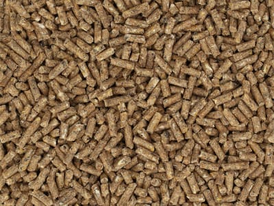 Bonimal FEED RK Kälber 204 EU OG für Rinder Pellet 25 kg Sack