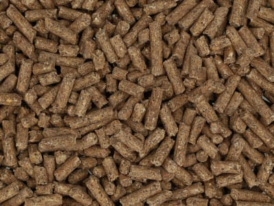Bonimal FEED RK 153 EU OG für Rinder Pellet 25 kg Sack Bonimal FEED RK 153 EU OG für Rinder Pellet 25 kg Sack