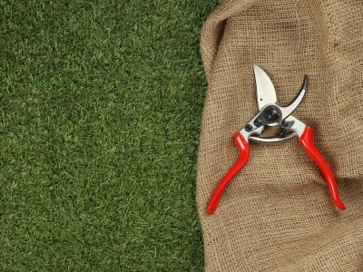 FELCO 9 Baum-, Reb- und Gartenschere L für Linkshänder FELCO 9 Baum-, Reb- und Gartenschere L für Linkshänder