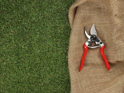 FELCO 14 Baum-, Reb- und Gartenschere  180 mm 