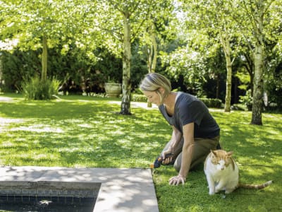 Fiskars Fiskars Rasenkantenschneider Grasschere Servo-System GS42 GS42 Länge 320 mm Fiskars Rasenkantenschneider Grasschere Servo-System GS42 Fiskars Fiskars Rasenkantenschneider Grasschere Servo-System GS42 GS42 Länge 320 mm Fiskars Rasenkantenschneider Grasschere Servo-System GS42