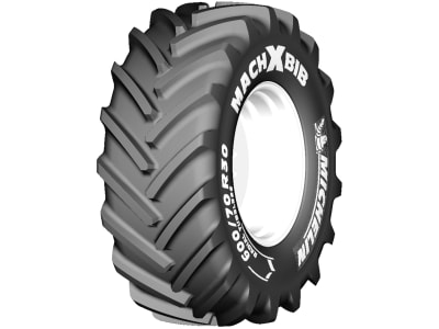 Michelin AS-Reifen 710/70 R 42 MachXBib 173D Radial TL