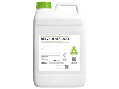 ADAMA Belvedere Duo   