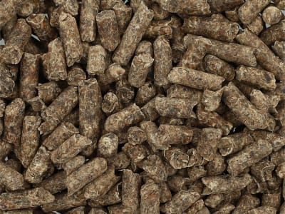 Südzucker Rübenmelasseschnitzel pelletiert Rübenschnitzel pelletiert für Pferde Pellet 25 kg Sack Südzucker Rübenmelasseschnitzel pelletiert Rübenschnitzel pelletiert für Pferde Pellet 25 kg Sack