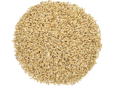 Futtergerste ohne Gentechnik Einzelfuttermittel 5 kg Sack Futtergerste ohne Gentechnik Einzelfuttermittel 5 kg Sack