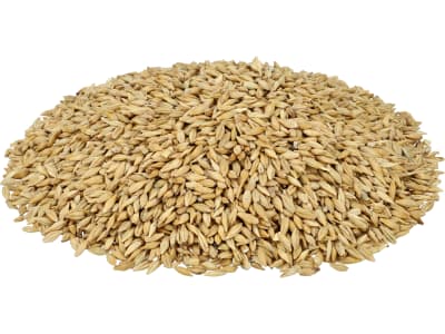 Futtergerste ohne Gentechnik Einzelfuttermittel 5 kg Sack Futtergerste ohne Gentechnik Einzelfuttermittel 5 kg Sack