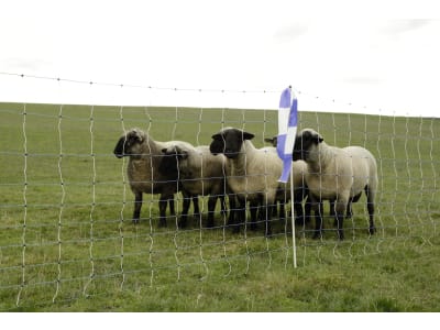 Ako Wolfszaun "WolfNet Maxi" stromführend, mit Doppelspitze 122 cm/50 m, 27378 Ako Wolfszaun "WolfNet Maxi" stromführend, mit Doppelspitze 122 cm/50 m, 27378