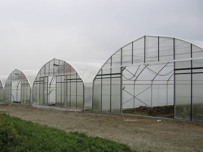 folitec Gewächshausfolie Lumisol clear AF per m transparent folitec Gewächshausfolie Lumisol clear AF per m transparent