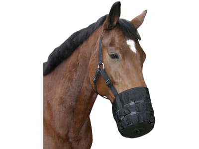 KERBL Maulkorb für Pferde, schwarz mit Halfter KERBL Maulkorb für Pferde, schwarz mit Halfter