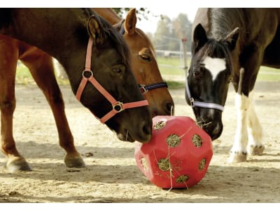 KERBL Futterspielball für Kälber, Rinder, Fohlen, Ponys und Pferde im Stall, Paddock und auf der Weide