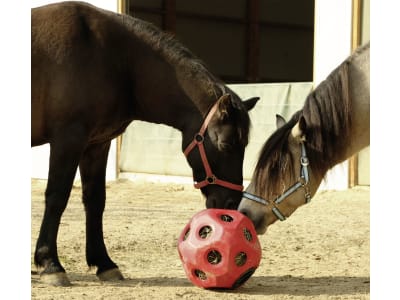 KERBL Futterspielball für Kälber, Rinder, Fohlen, Ponys und Pferde im Stall, Paddock und auf der Weide