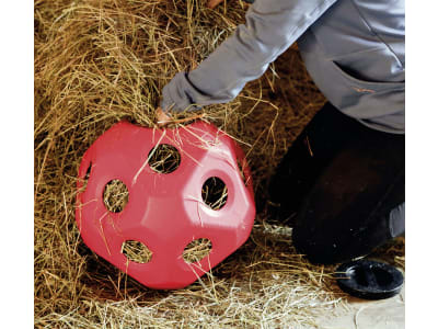 KERBL Futterspielball für Kälber, Rinder, Fohlen, Ponys und Pferde im Stall, Paddock und auf der Weide