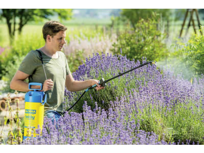 GLORIA® Drucksprühgerät Hobby exclusiv Gartenspritze, Drucksprüher, Sprühgerät, Druckpumpe GLORIA® Drucksprühgerät Hobby exclusiv Gartenspritze, Drucksprüher, Sprühgerät, Druckpumpe