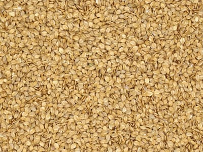 Gerstenflocken ohne Gentechnik Futtergerste geflockt für Pferde, Kaninchen und Nager 20 kg Sack Gerstenflocken ohne Gentechnik Futtergerste geflockt für Pferde, Kaninchen und Nager 20 kg Sack