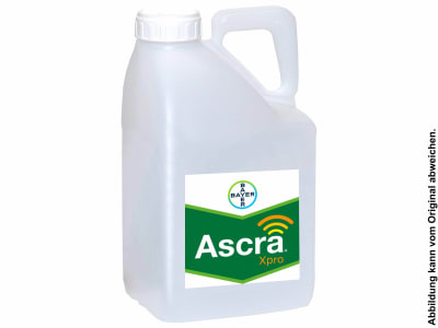 Bayer Ascra Xpro 15 l Kanister 