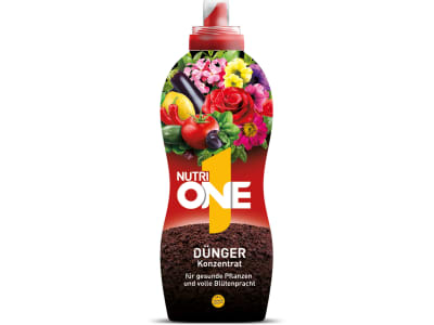 NutriONE NutriONE
