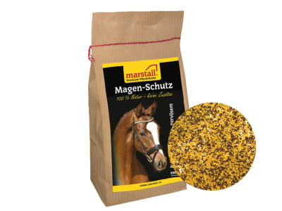 marstall® Magenschutz für Pferde Pulver 500 g Beutel marstall® Magenschutz für Pferde Pulver 500 g Beutel