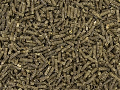 SPEED SELENIUM boost für Pferde zur Selenergänzung 1,5 kg Eimer SPEED SELENIUM boost für Pferde zur Selenergänzung 1,5 kg Eimer