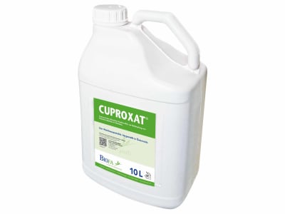 BIOFA Cuproxat® Fungizid gegen Falschen Mehltau BIOFA Cuproxat® Fungizid gegen Falschen Mehltau