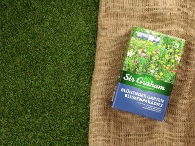 Sir Graham Blumenwiese Samen Blumenparadies  1 kg Karton 100 m²