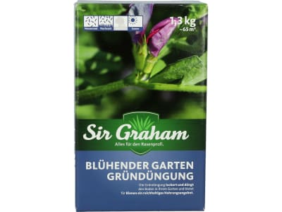 Sir Graham Gründüngung mit Hülsenfrüchten  1,3 kg Karton 65 m²