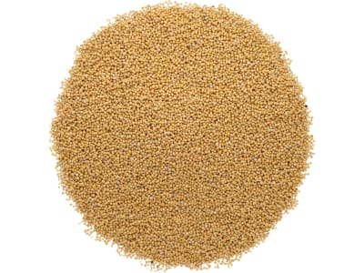Senf Saatgut Severka ZS ungebeizt 25 kg Sack Senf Saatgut Severka ZS ungebeizt 25 kg Sack