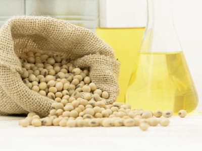 Sojaöl Futteröl, Einzelfuttermittel 1.000 kg lose GMO controlled (VLOG anerkannt)