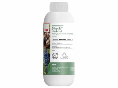 Shark Shark