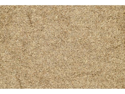 Rotschwingel Saatgut Gondolin ZS ungebeizt 15 kg Sack  