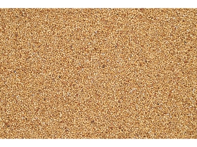 Sudangras Saatgut LUSSI Redigo M 25 kg Sack  