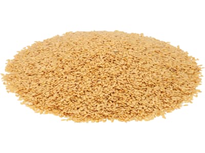Öllein Szafir ZS Bio ungebeizt 25 kg Sack Öllein Szafir ZS Bio ungebeizt 25 kg Sack