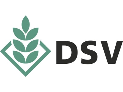 DSV Saaten Logo