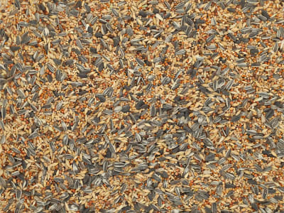 Alpha® Winterstreufutter  Körner 5 kg Sack