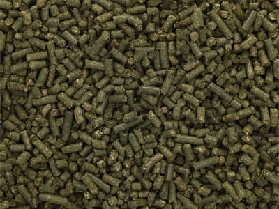 Pegus Natural Wiesencobs BIO Heuersatz in Bio-Qualität für Pferde zum Einweichen Pferdefutter 25 kg Sack