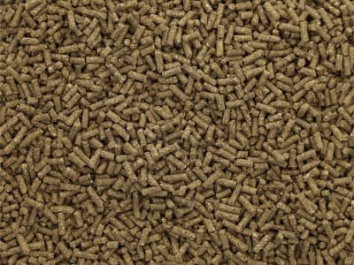 Pegus Classic Extra haferfreies Grundfutter mit dem dem Extra an Rohfaser im XXL Format Pellet 30 kg Sack Pegus Classic Extra haferfreies Grundfutter mit dem dem Extra an Rohfaser im XXL Format Pellet 30 kg Sack
