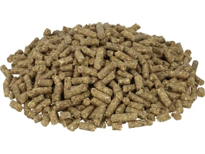 Pegus Classic Extra haferfreies Grundfutter mit dem dem Extra an Rohfaser im XXL Format Pellet 30 kg Sack Pegus Classic Extra haferfreies Grundfutter mit dem dem Extra an Rohfaser im XXL Format Pellet 30 kg Sack
